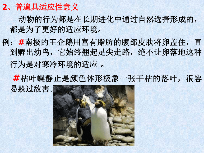 生物奥赛_动物行为学（课件共64张PPT）