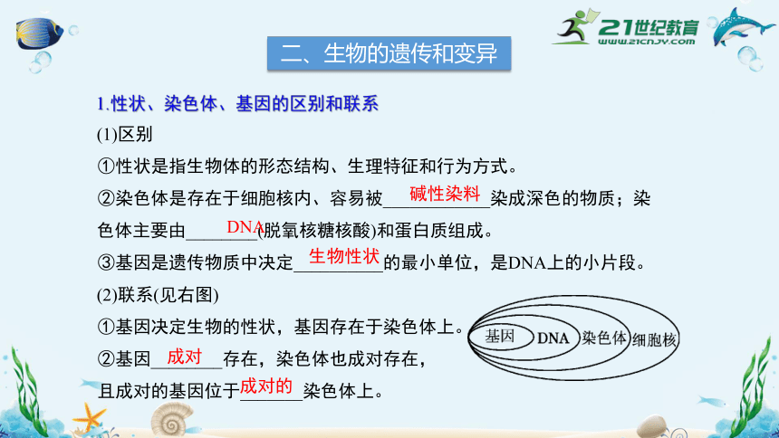 人教版八下期末总复习课件