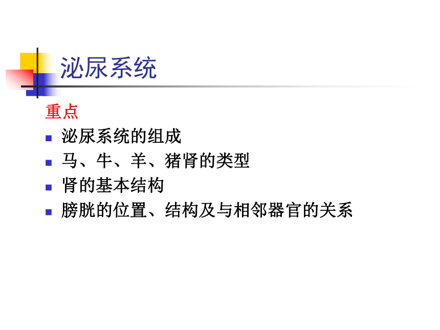 7.泌尿系统  课件(共55张PPT) - 《畜禽解剖生理学》同步教学（高教版）