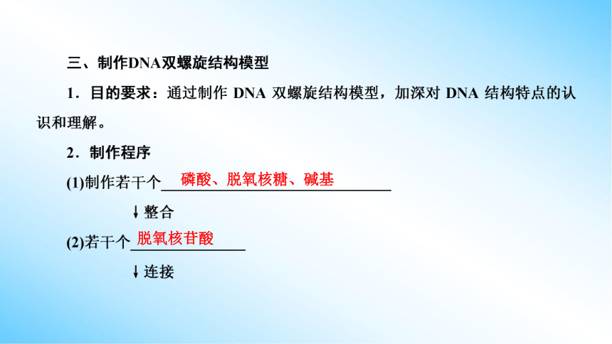 【课件版学案】3-2 DNA的结构 课 人教版2019必修2(共40张PPT)