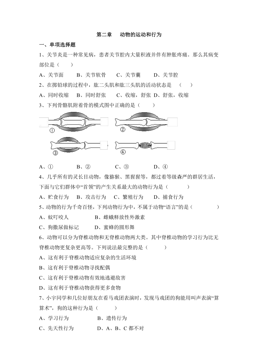 第五单元第二章 动物的运动和行为 测试题(word版含答案）