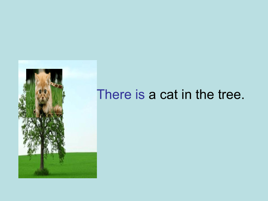 Module 7 Unit 1 There is a cat in the tree  课件(共14张PPT)