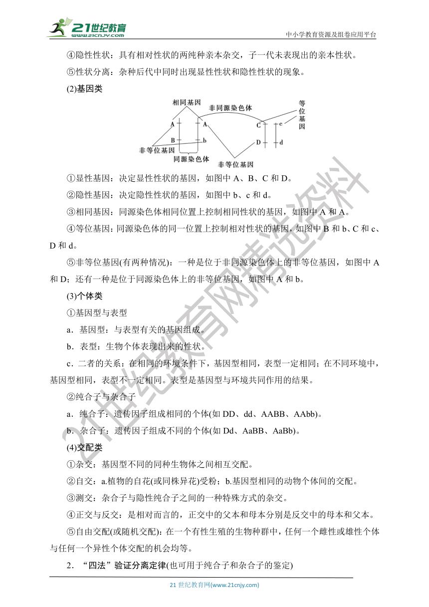 【考点梳理  生物总复习 】30第13讲　基因的分离定律（Word版含答案）