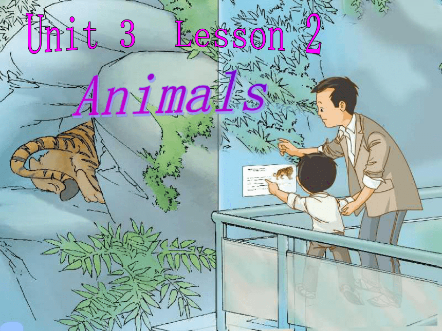 Unit3 Animal Lesson2 课件（19张PPT）