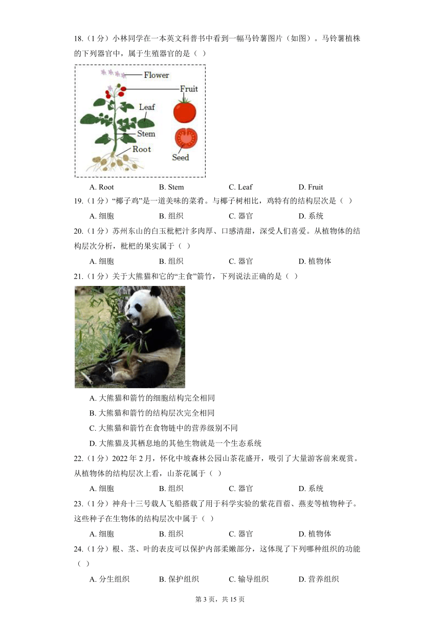 2.2.3 植物体的结构层次 同步精品练习 （含解析）人教版生物七年级上册