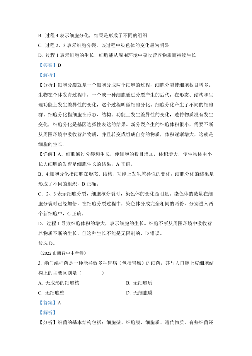 专题02 生物体的结构层次-2022年中考生物真题（全国通用）（试题与答案未分开）