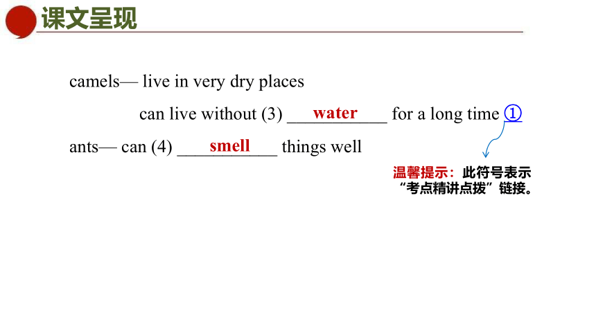 Unit 5  Amazing things Period 4 Integrated skills & Study skills课件(共28张PPT)