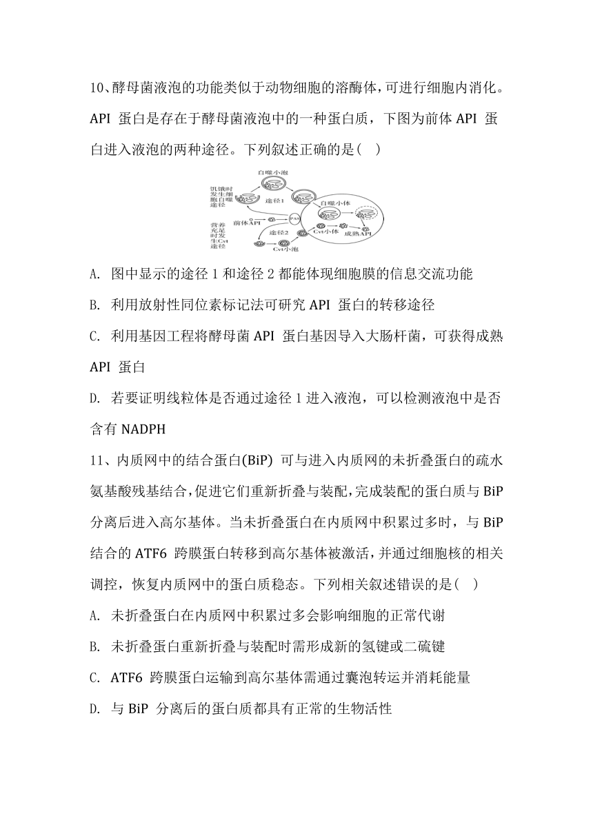 2024届高三新高考生物大一轮专题复习细胞器与生物膜系统 强化训练（有解析）