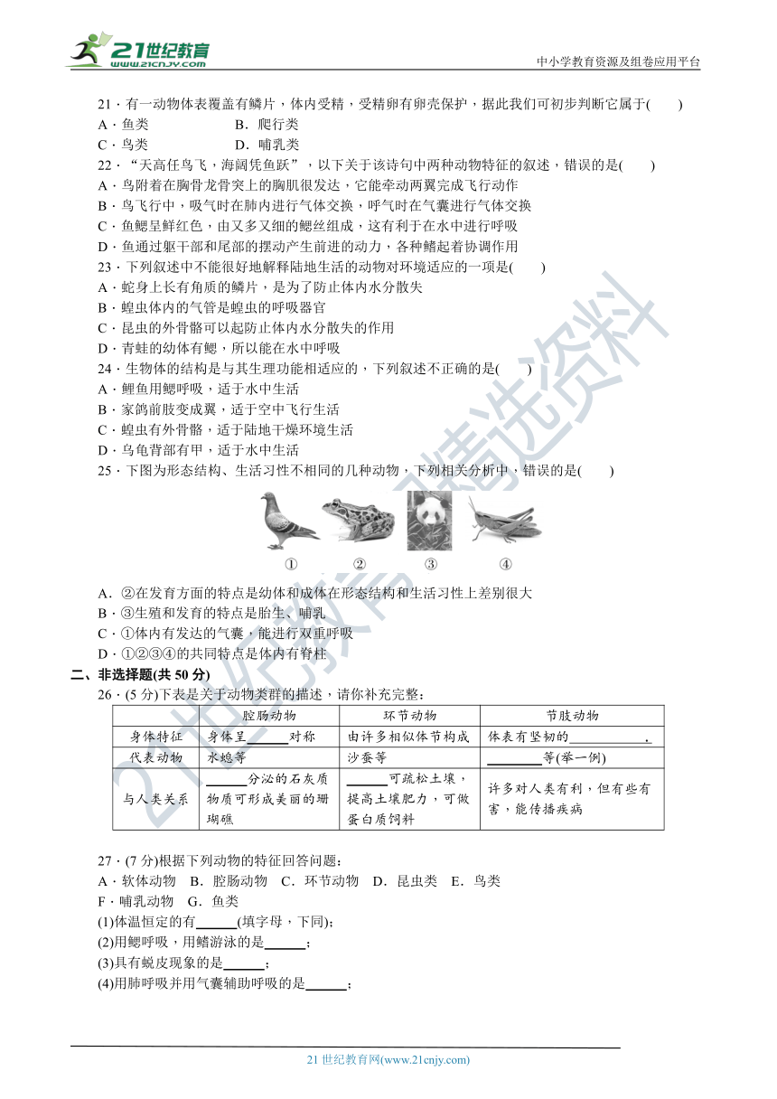 人教版八年级生物上册 第五单元 第一章《动物的主要类群》达标测试卷（含答案）