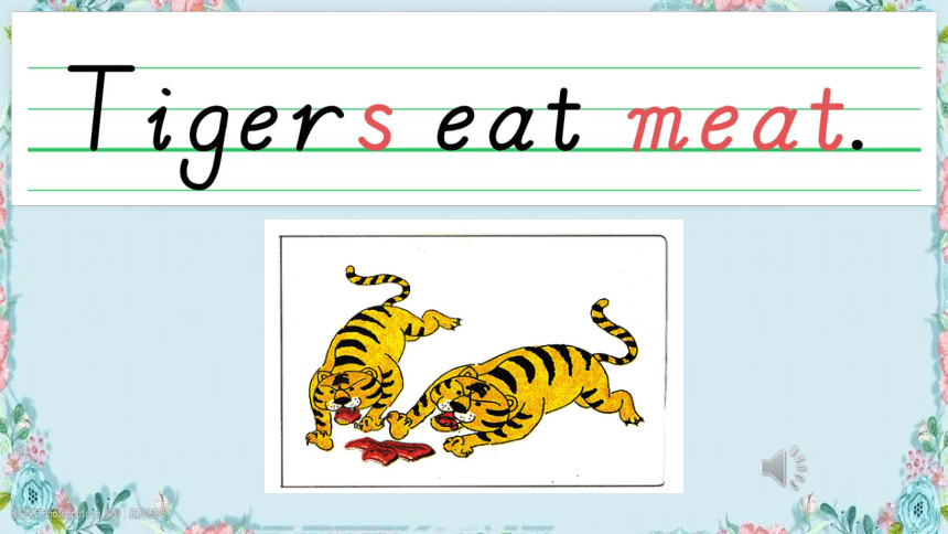 Unit 2 Animals at the Zoo Lesson 11 What Do They Eat?课件(共28张PPT)
