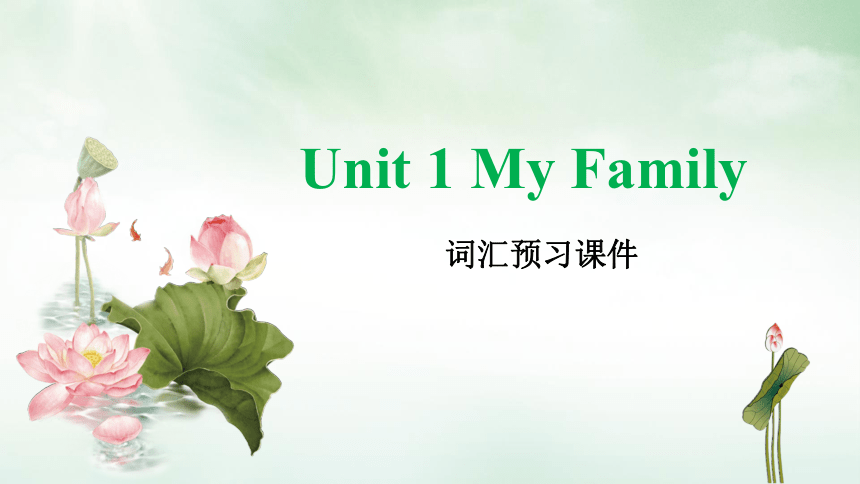 Unit 1 My family词汇预习课件(共19张PPT)