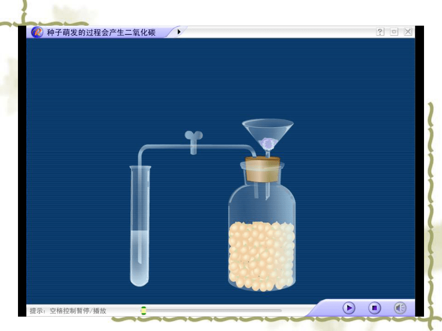 人教版生物七年级上册 3.5.2《绿色植物的呼吸作用》课件  (共23张PPT)