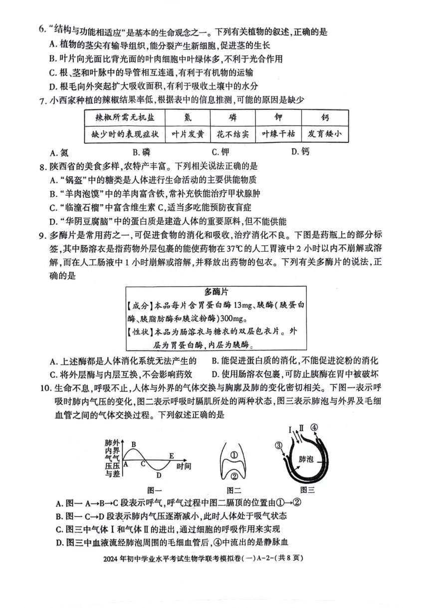 2024年陕西省榆林市佳县初中学业水平考试生物学联考模拟卷（一）（PDF版无答案）