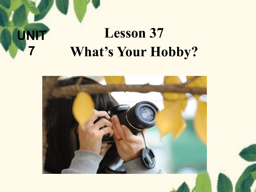 Unit 7 Enjoy Your Hobby-Lesson 37 课件(共23张PPT)