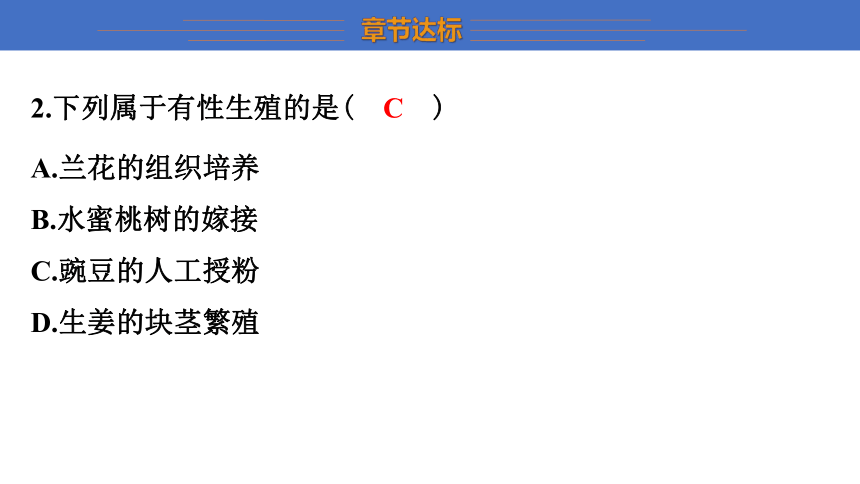 第七单元 生物圈中生命的延续和发展 复习课件(共34张PPT) 2023-2024学年 初中生物人教版八年级下册