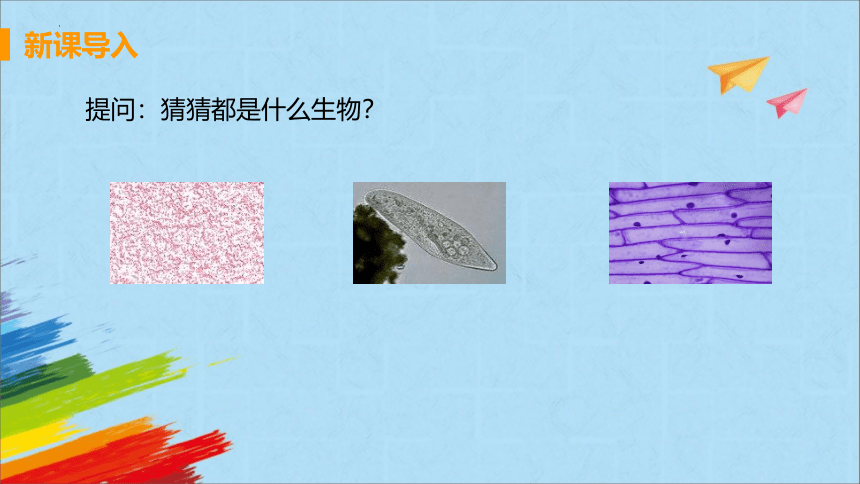 2022-2023学年人教版生物七年级上册 2.1.1 练习使用显微镜  教学课件（共37张PPT）