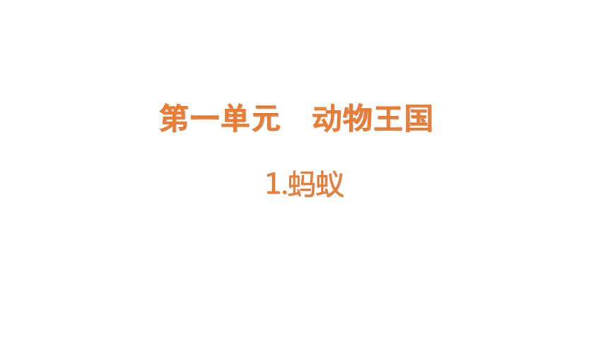 青岛版（六三制2017秋） 四年级上册1.1 蚂蚁课件（13张PPT)