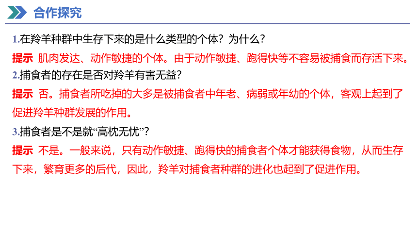 6.4 协同进化与生物多样性的形成 课件(共26张PPT) 2023-2024学年高一生物人教版（2019）必修第二册