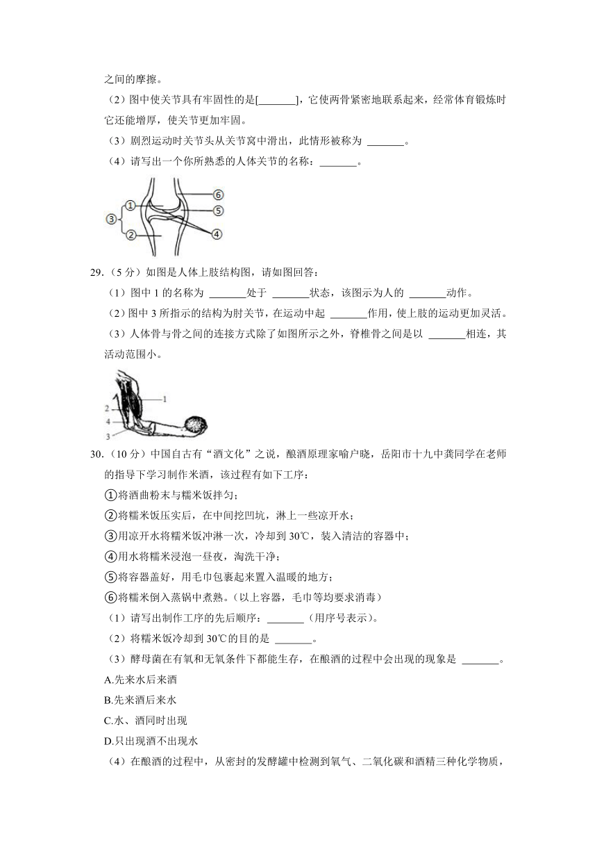 湖南省岳阳市岳阳县开发区长岭中学2022-2023学年八年级上学期期中生物试卷（附答案）