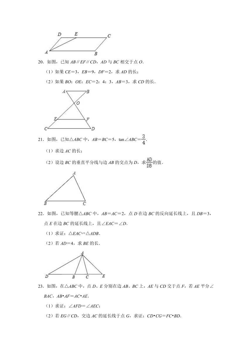 2021-2022学年上海市浦东新区部分校九年级（上）期中数学试卷（Word版含解析）