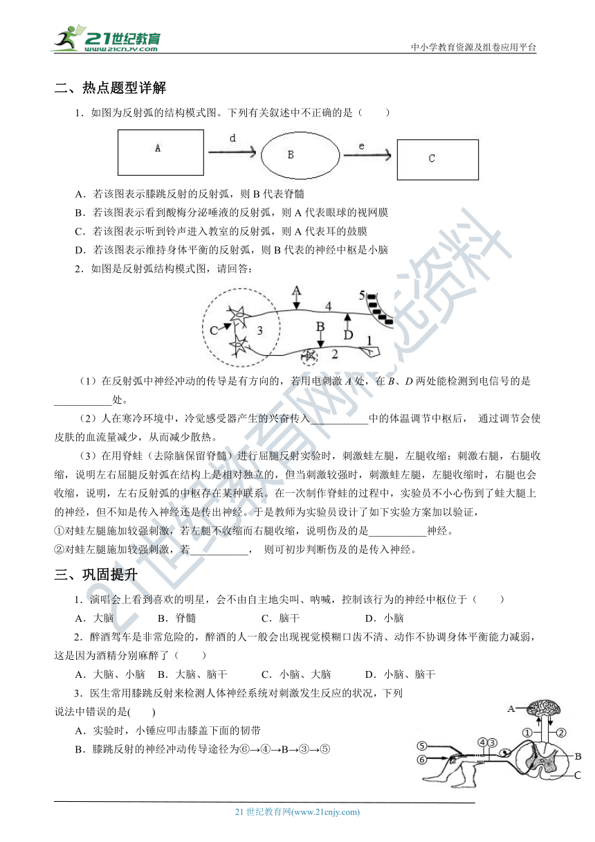 3.3神经调节 同步学案（含解析）