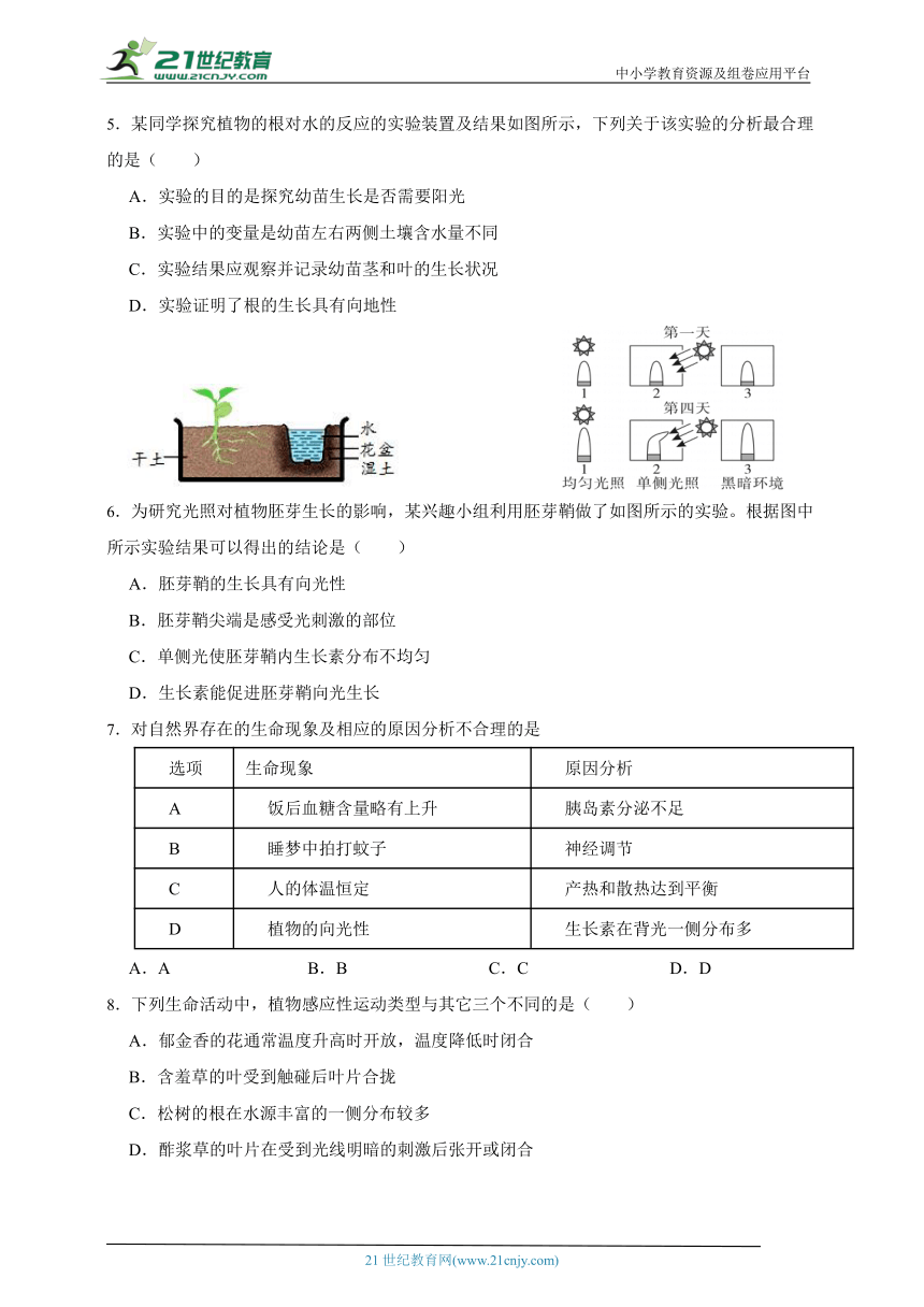 华师大版科学 八下 7.5植物生命活动的调节 课时训练（含答案）