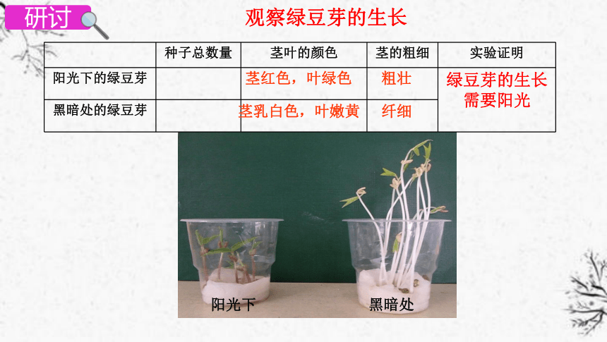 教科版科学五年级上册1.3 观察绿豆芽的生长（ 课件20张ppt)