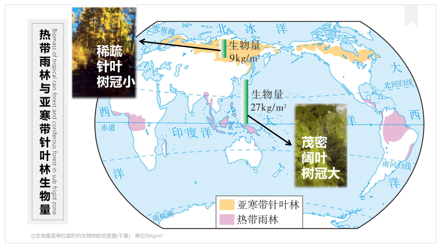 1.2太阳对地球的影响课件（共49张ppt）