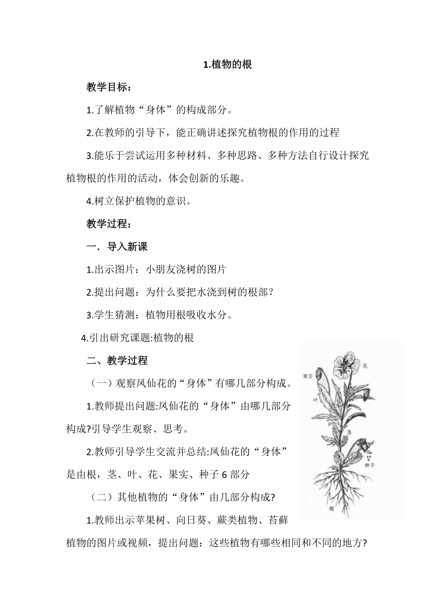 青岛版五四制三年级科学上册1.1植物的根教案