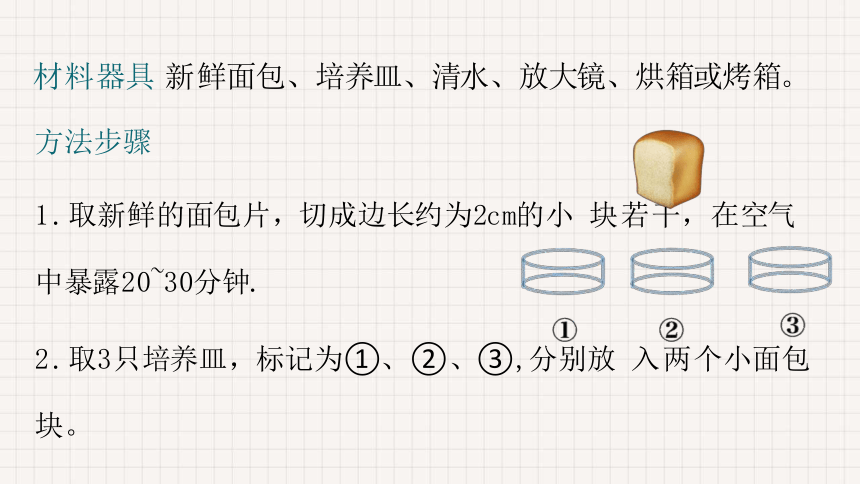 1.1.2 生物与环境的相互影响 课件(共29张PPT)北师大版生物七年级上册