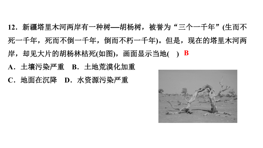 专题三　和谐世界的追求与可持续发展的选择 练习课件-2021届中考历史与社会一轮复习（金华专版）（49张PPT）