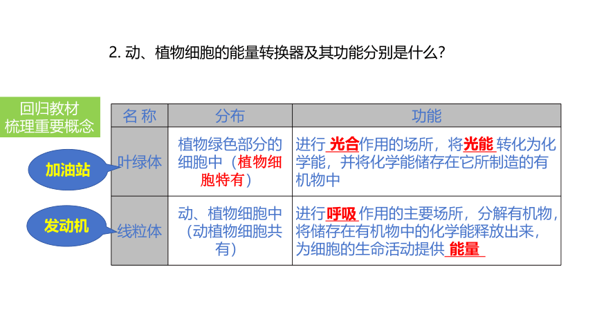 2024中考一轮复习：第4讲 细胞的结构及功能、细胞的生活课件(共38张PPT)