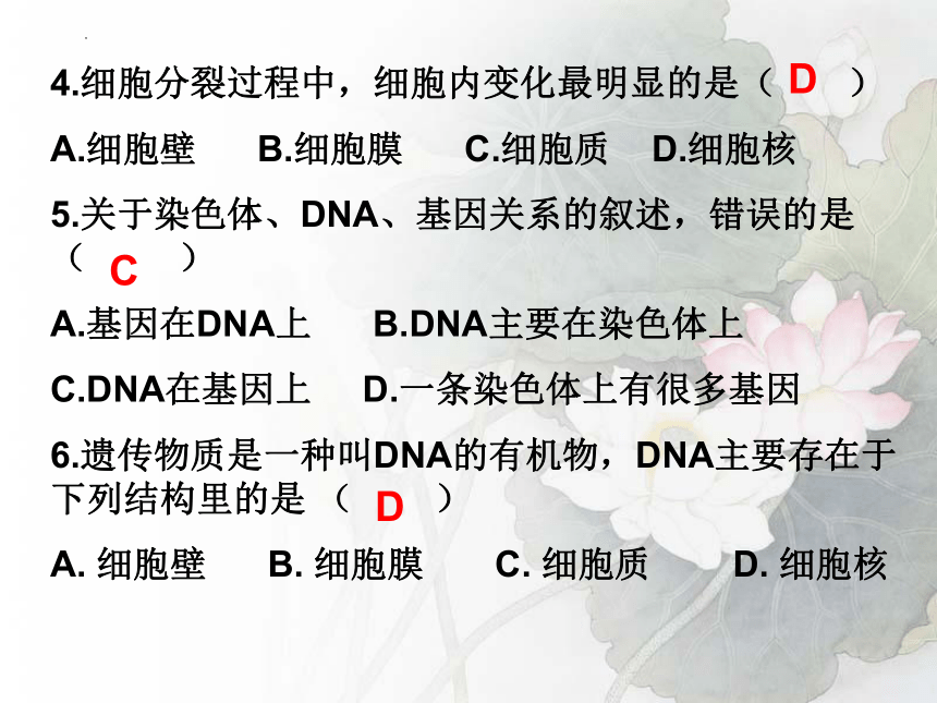 2.2.2动物体的结构层次课件(共27张PPT) 2022-2023学年人教版七年级生物上册