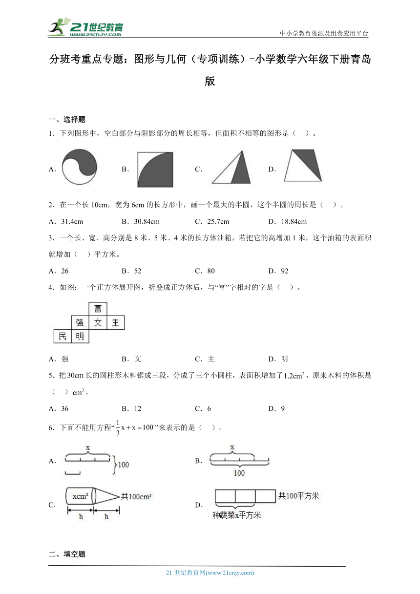 分班考重点专题：图形与几何（专项训练）-小学数学六年级下册青岛版