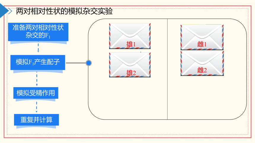 1.2模拟孟德尔杂交实验、两对相对性状的杂交实验及对自由组合现象的解释(共55张PPT)  高中生物 浙科版 必修二