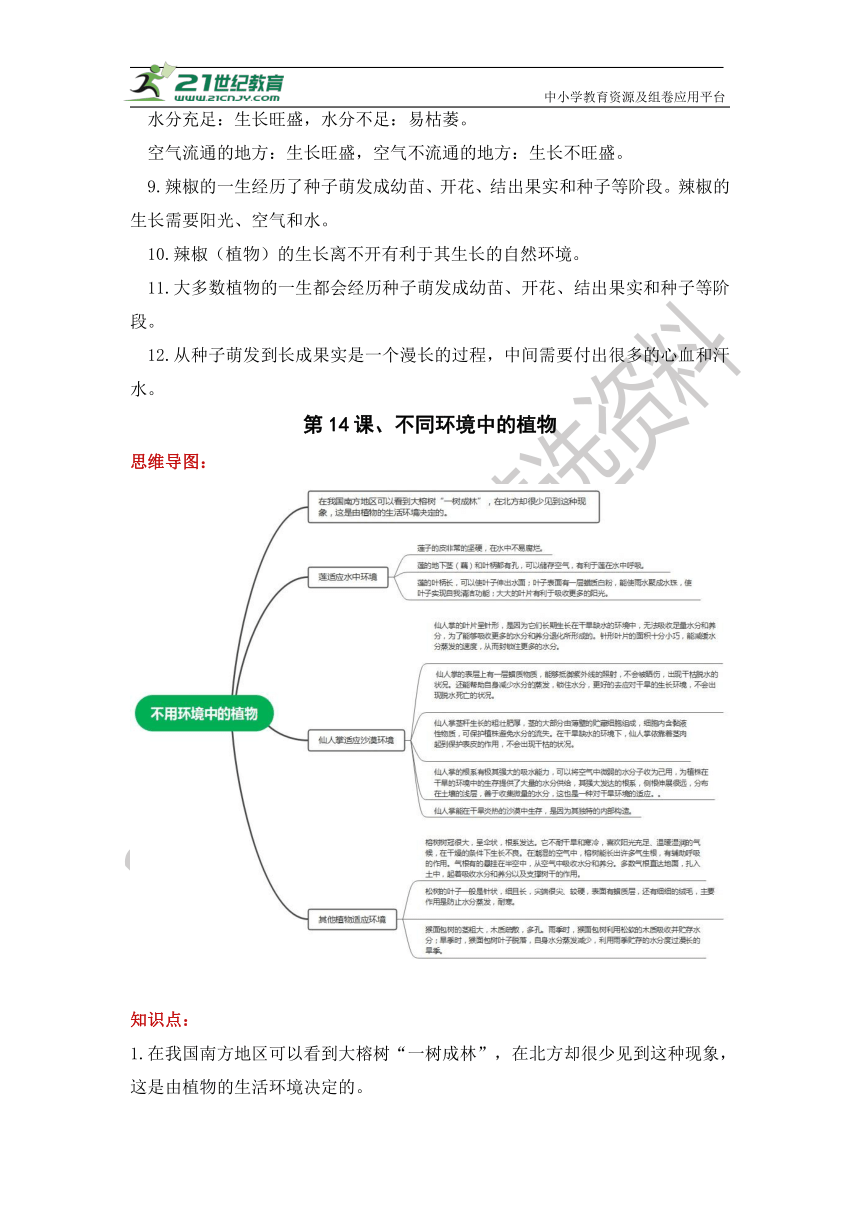 青岛版四年级科学下册第四单元 植物的生长（知识点总结））