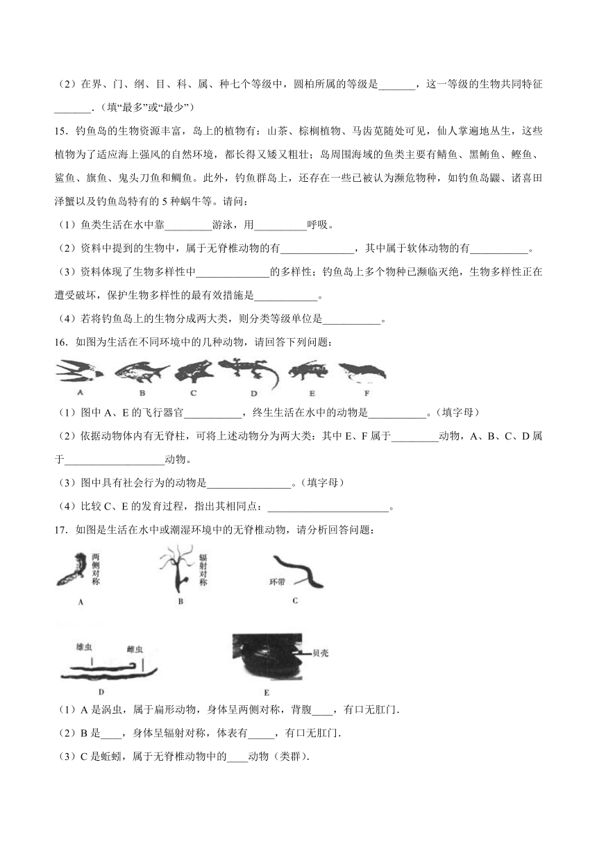 【会考专训】中考生物会考复习专项训练22：根据生物的特征进行分类（含解析）