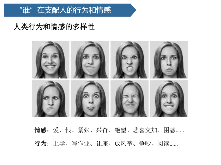 青岛版（六三制2017秋）科学五下课件1-1  我们的脑 课件(共16张PPT)