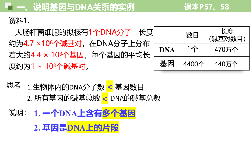 3.4基因通常是有遗传效应的DNA片段-人教版2019必修2(共33张PPT)