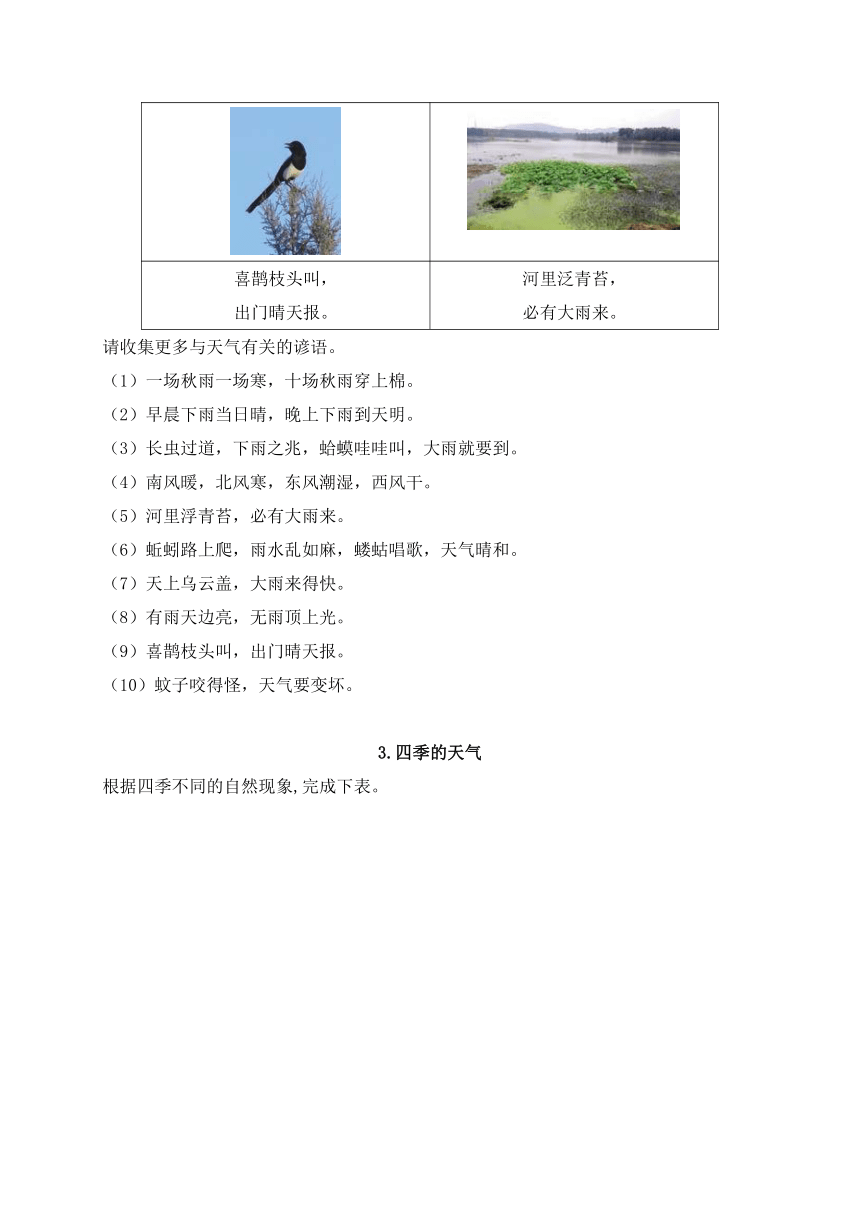 新苏教版小学科学二年级上册学生活动手册答案