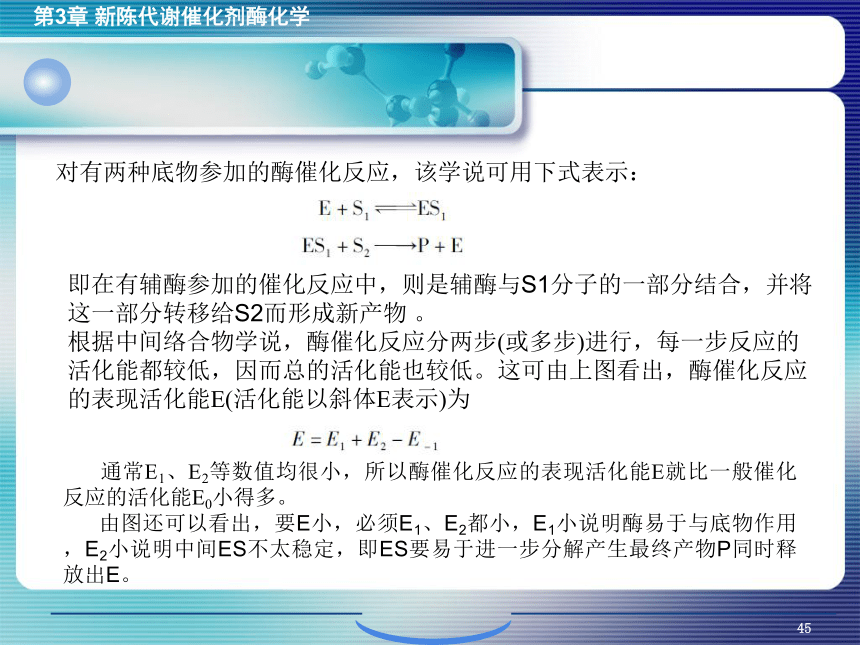 3.3酶作用的机制 课件(共19张PPT)- 《环境生物化学》同步教学（机工版·2020）