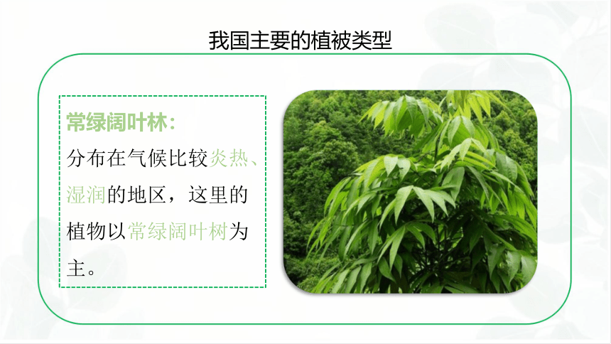 3.6爱护植被，绿化祖国课件(共24张PPT)
