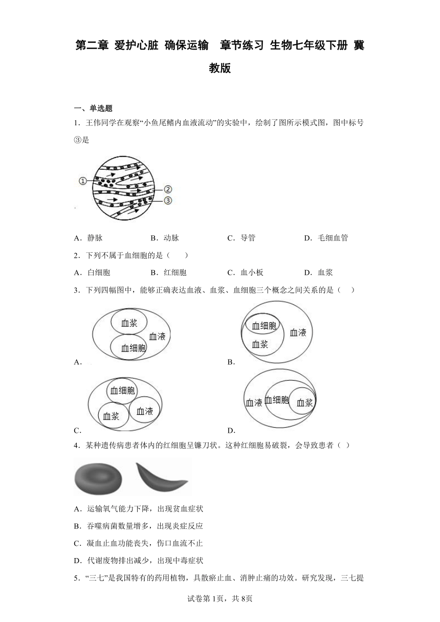 第二单元第二章 爱护心脏 确保运输  章节练习（含答案） 生物七年级下册 冀教版