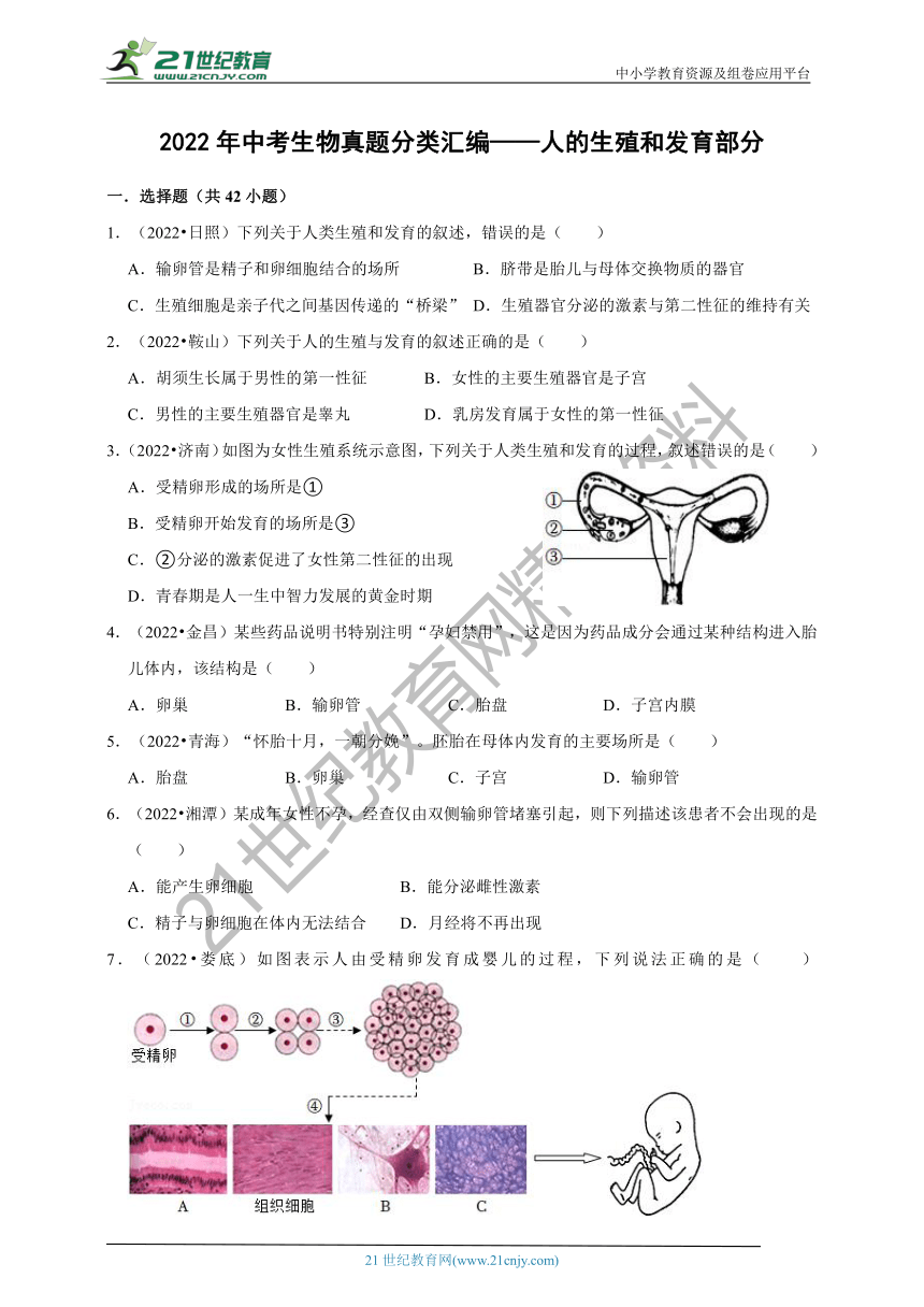 【备考2023】2022年中考生物真题分类汇编6——人的生殖和发育部分（含解析）