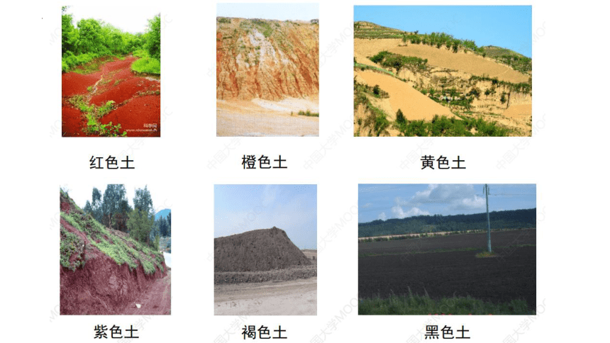 3.4分析土壤形成的原因课件 （31张）