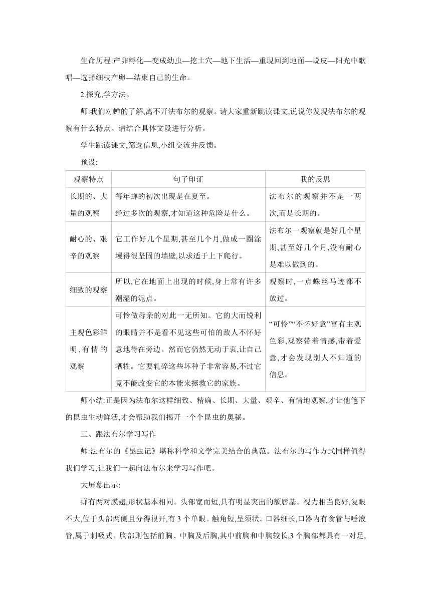 21　蝉  同步教案