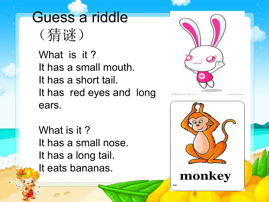 Unit 4 Lesson 24 A Little Monkey 课件（共15张PPT)