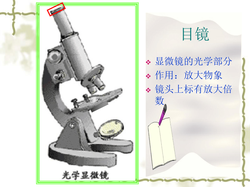 人教版七年级上册生物学2.1.1练习使用显微镜课件(共39张PPT)