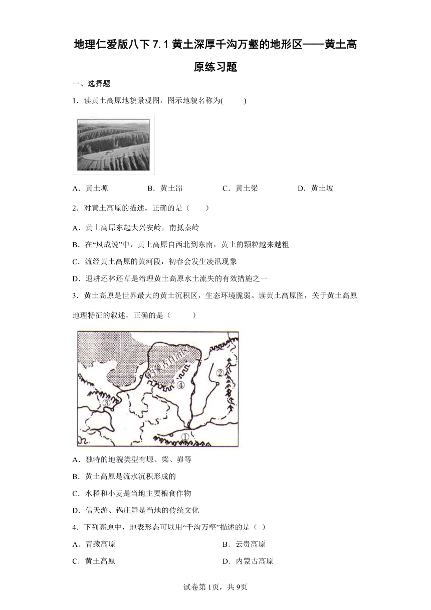 地理仁爱版八下7.1黄土深厚千沟万壑的地形区——黄土高原练习题（Word版附答案）