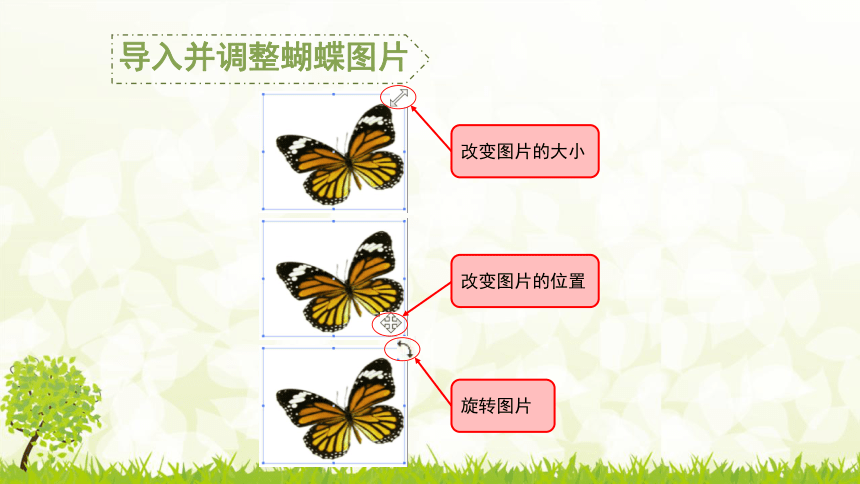 信息技术四年级下册-青岛版第12课 飞舞的蝴蝶——图像运动动画  课件（13ppt）